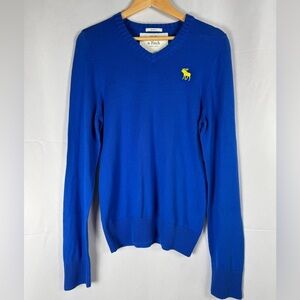 Abercrombie & Fitch Muscle VNeck Sweater Mens Large Cotton Cashmere Blend Preppy
